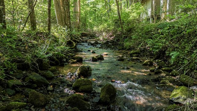 2968 Hooper Branch Road, Hiawassee, GA 30546