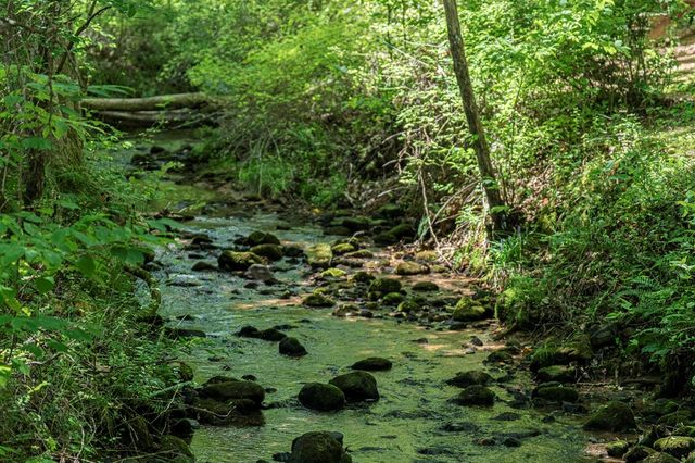 2968 Hooper Branch Road, Hiawassee, GA 30546