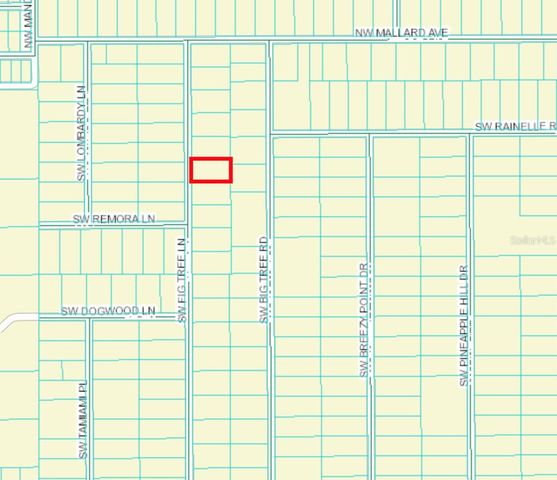 TBD SW FIG TREE LN, Dunnellon, FL 34431