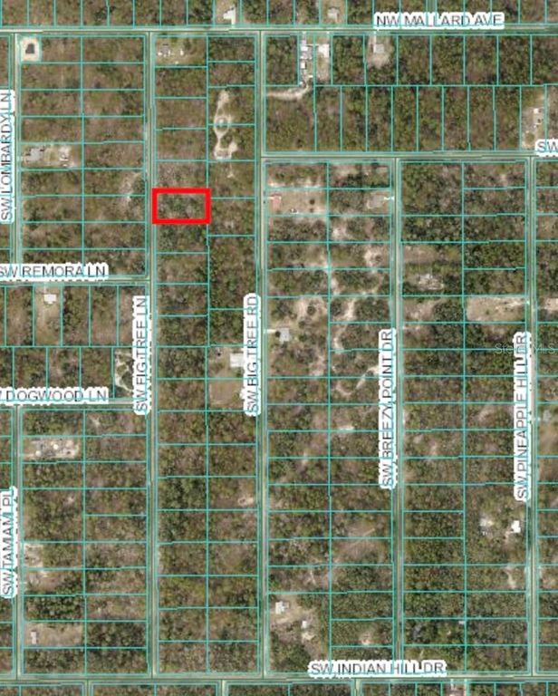 TBD SW FIG TREE LN, Dunnellon, FL 34431