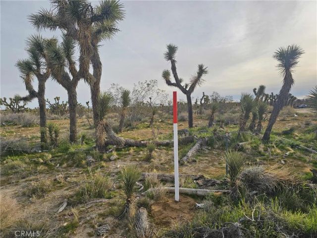 26000 Avenue W, Llano, CA 93544