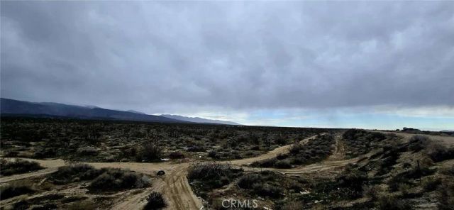 26000 Avenue W, Llano, CA 93544