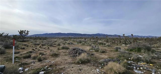 26000 Avenue W, Llano, CA 93544