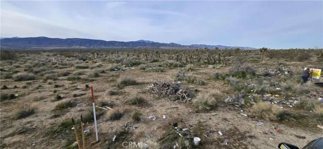 26000 Avenue W, Llano, CA 93544