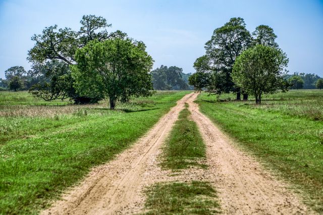 5655 Brazos Bow Way, Washington, TX 77880