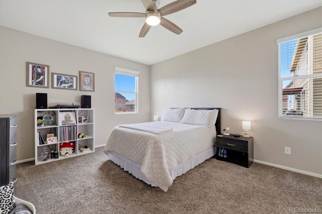 326 Jay Avenue, Windsor, CO 80550