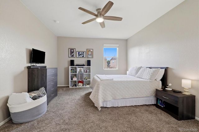 326 Jay Avenue, Windsor, CO 80550
