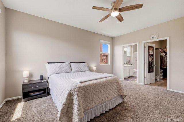 326 Jay Avenue, Windsor, CO 80550