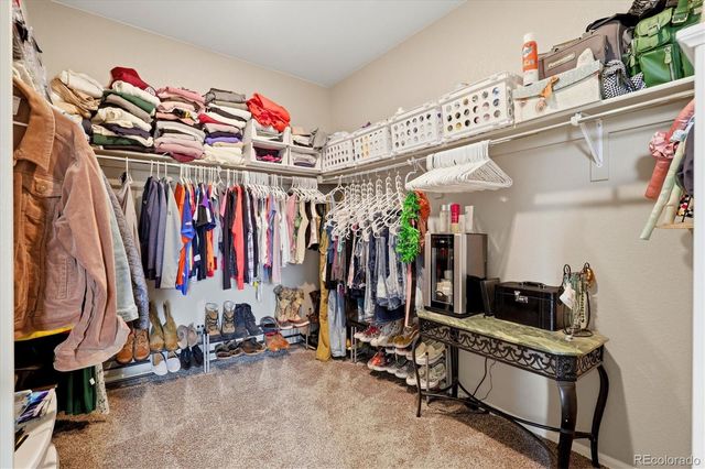326 Jay Avenue, Windsor, CO 80550