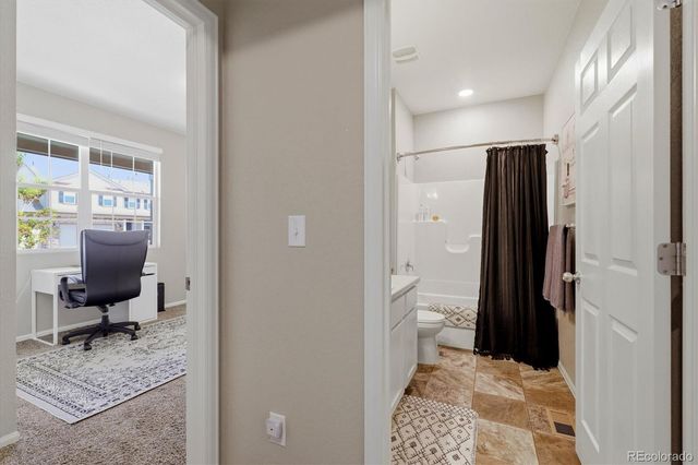 326 Jay Avenue, Windsor, CO 80550