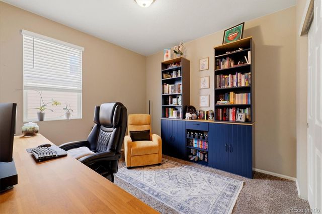326 Jay Avenue, Windsor, CO 80550