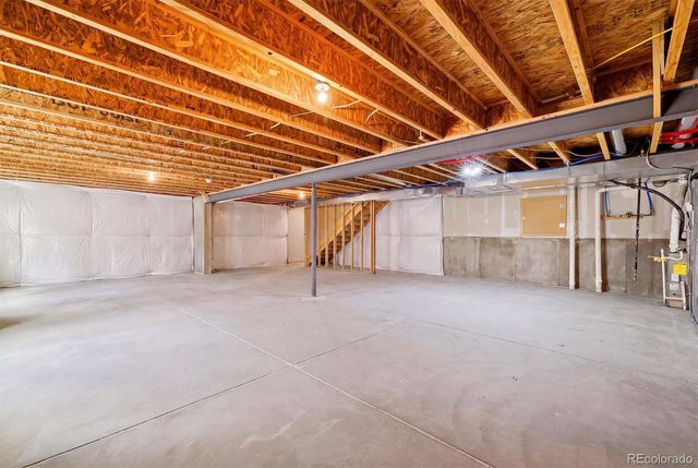 326 Jay Avenue, Windsor, CO 80550