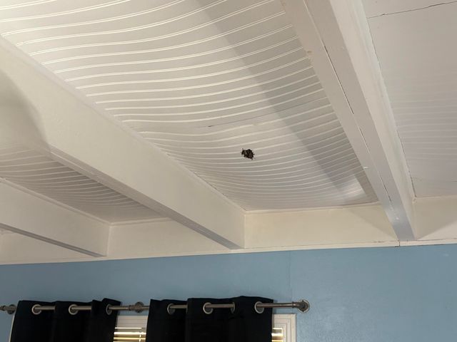 2009 46th Street, Lubbock, TX 79412