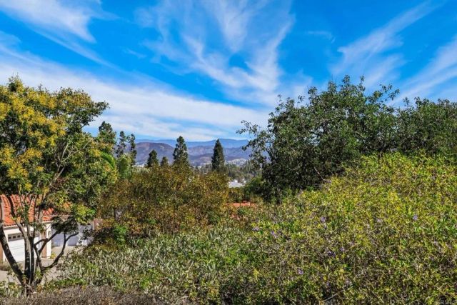1242 Rue Saint Moritz, San Marcos, CA 92078