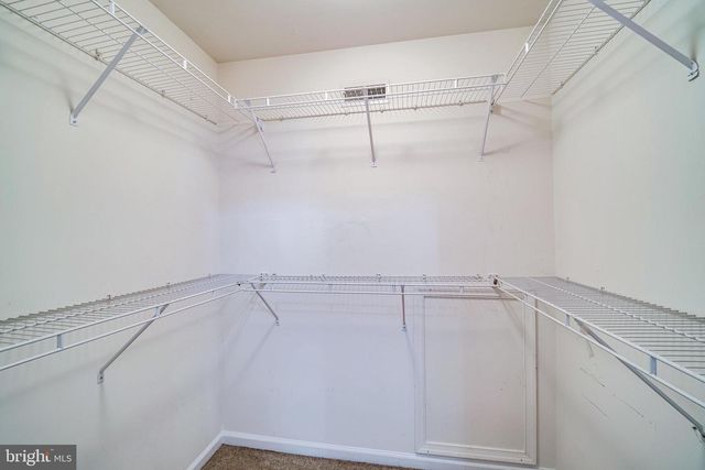 4905 WAPLE LN, Alexandria, VA 22304