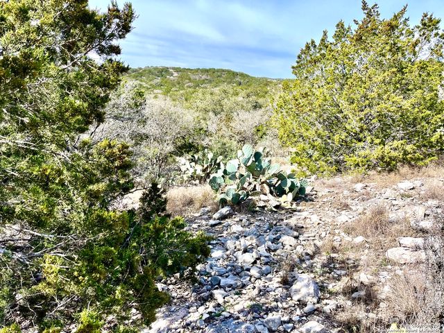 0 SD63538, Rocksprings, TX 78880