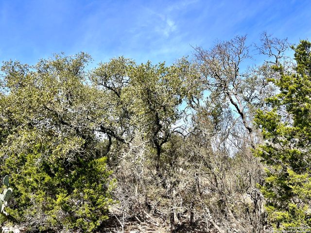 0 SD63538, Rocksprings, TX 78880