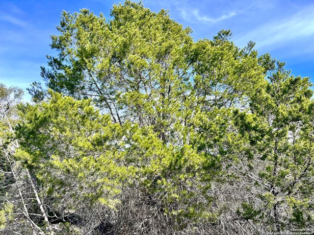 0 SD63538, Rocksprings, TX 78880