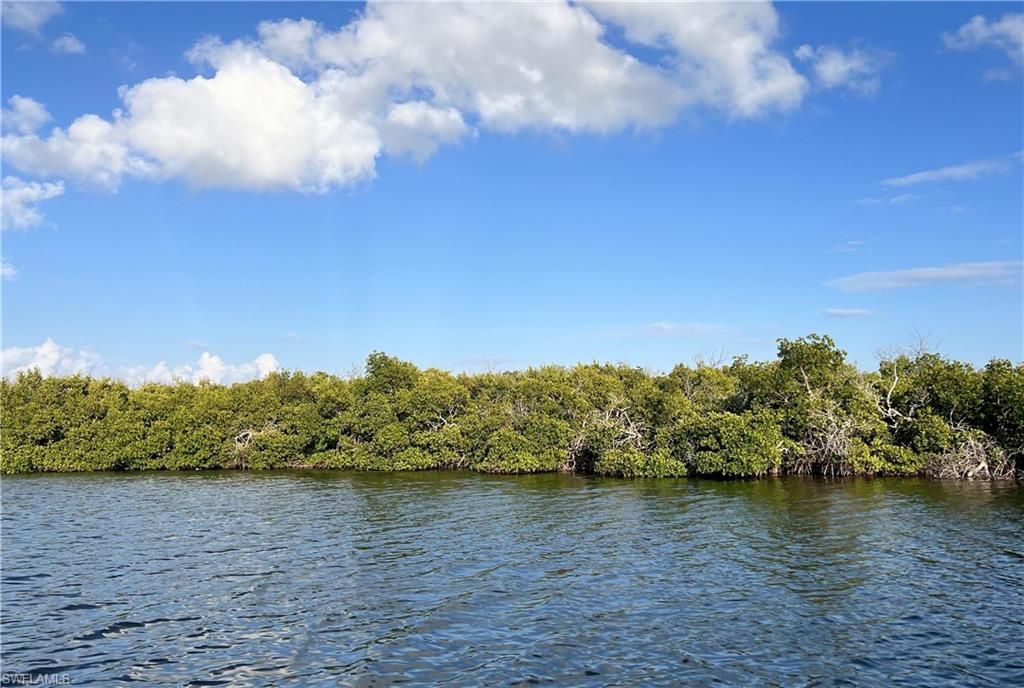 INDIAN FIELD KEY + ISLAND 1, BOKEELIA, FL 33922 — photo 2