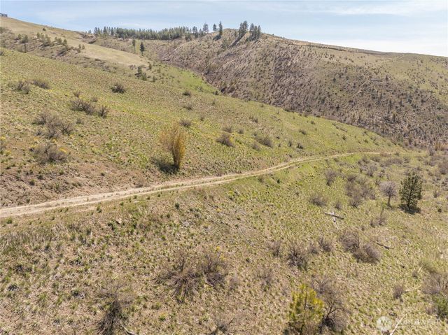295 Hawks Ridge Road, Chelan, WA 98816