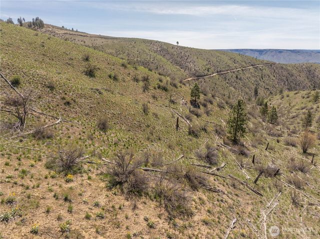 295 Hawks Ridge Road, Chelan, WA 98816