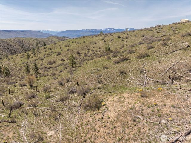 295 Hawks Ridge Road, Chelan, WA 98816