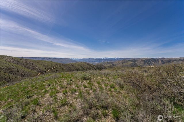 295 Hawks Ridge Road, Chelan, WA 98816