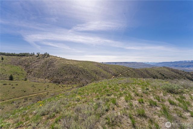 295 Hawks Ridge Road, Chelan, WA 98816