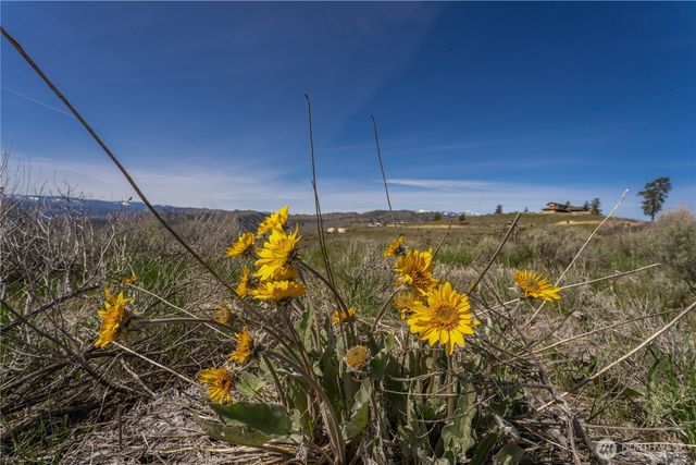 295 Hawks Ridge Road, Chelan, WA 98816