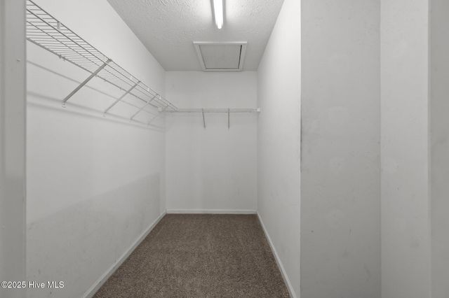 207 Jasmine Lane, Jacksonville, NC 28546