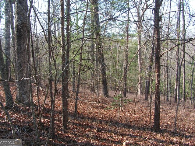 0 Mount Pleasant Church Road, Cleveland, GA 30528