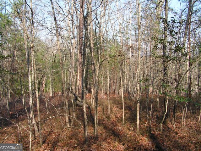 0 Mount Pleasant Church Road, Cleveland, GA 30528