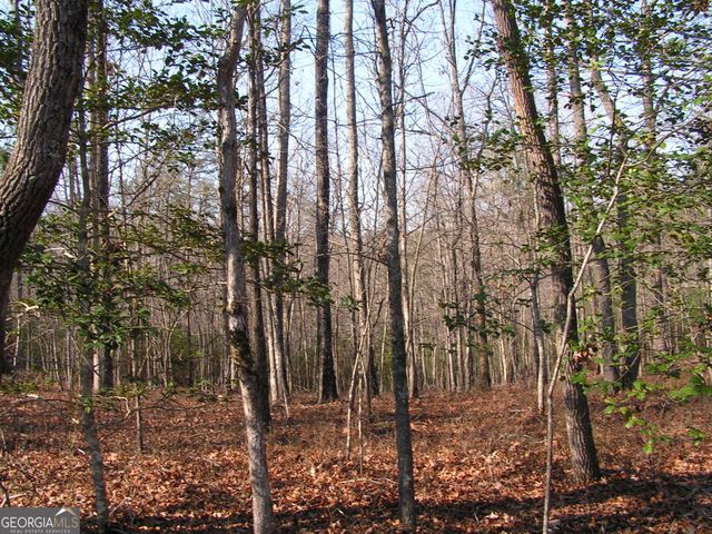 0 Mount Pleasant Church Road, Cleveland, GA 30528