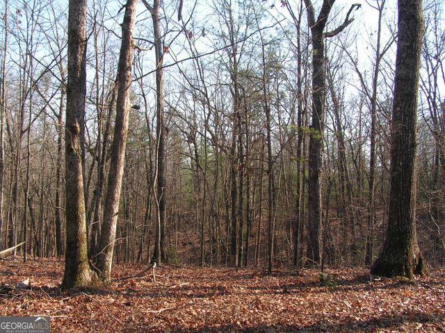 0 Mount Pleasant Church Road, Cleveland, GA 30528