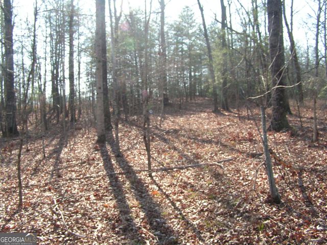 0 Mount Pleasant Church Road, Cleveland, GA 30528