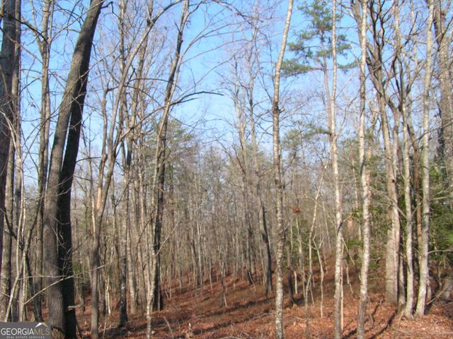 0 Mount Pleasant Church Road, Cleveland, GA 30528