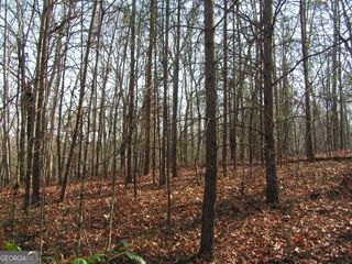 0 Mount Pleasant Church Road, Cleveland, GA 30528