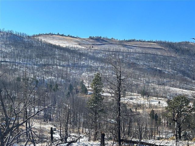 Lot 1039 Forbes Park Ranch, Fort Garland, CO 81133