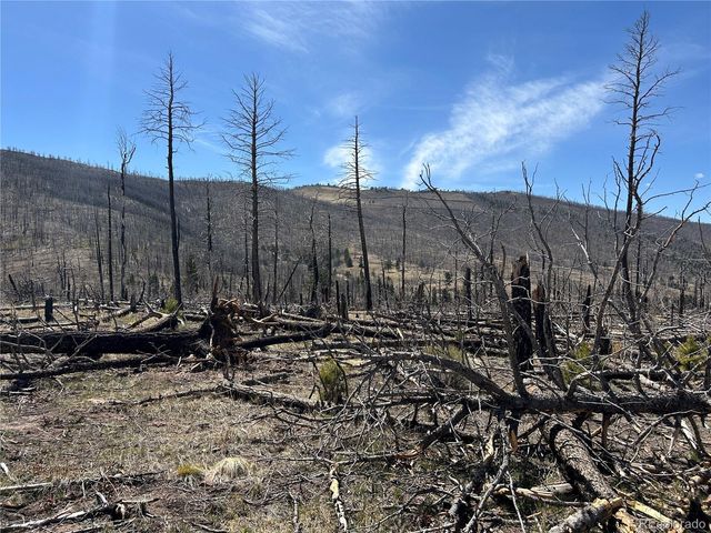 Lot 1039 Forbes Park Ranch, Fort Garland, CO 81133