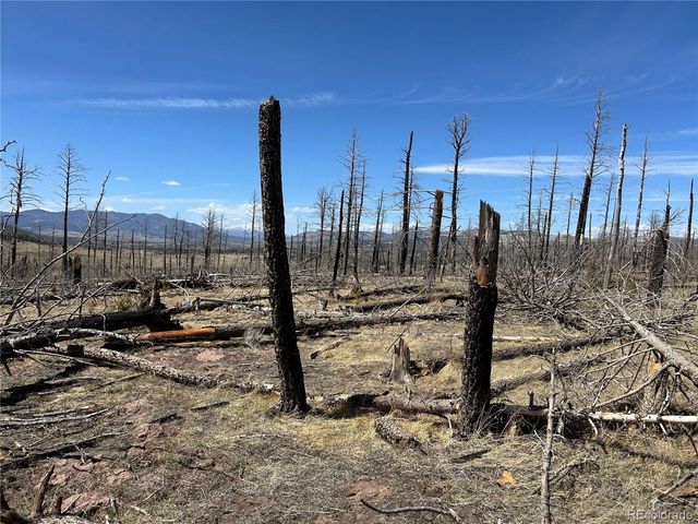 Lot 1039 Forbes Park Ranch, Fort Garland, CO 81133