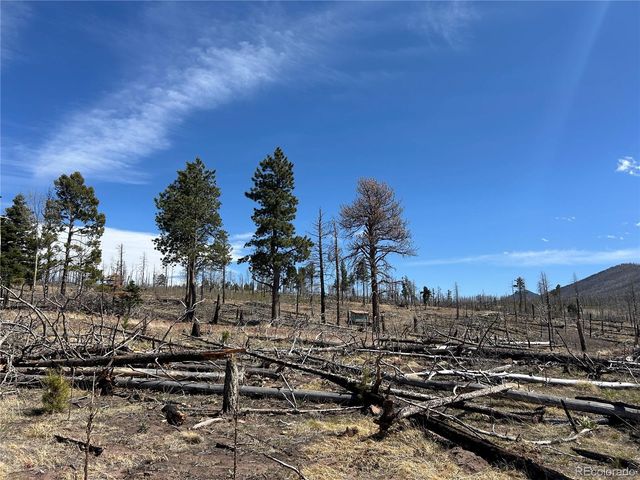 Lot 1039 Forbes Park Ranch, Fort Garland, CO 81133