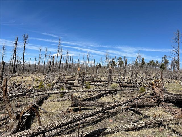 Lot 1039 Forbes Park Ranch, Fort Garland, CO 81133