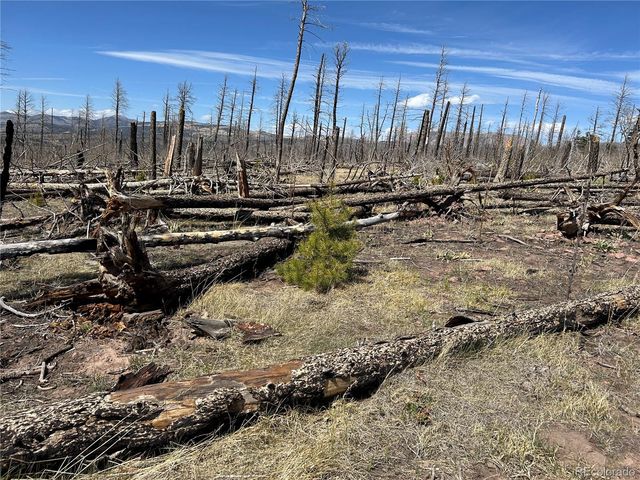 Lot 1039 Forbes Park Ranch, Fort Garland, CO 81133