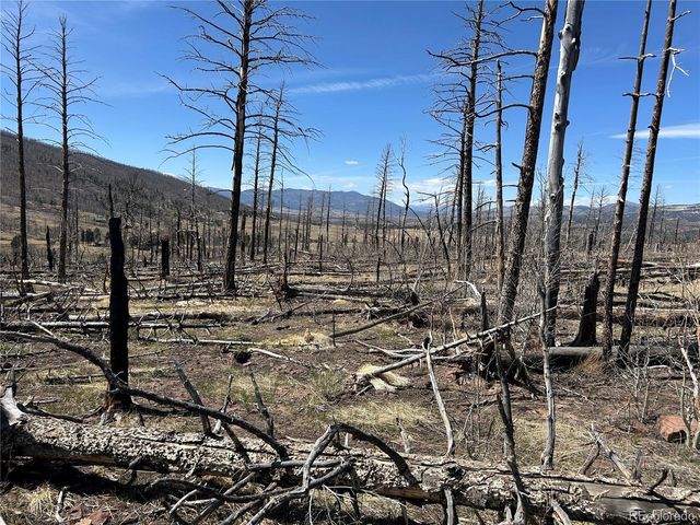 Lot 1039 Forbes Park Ranch, Fort Garland, CO 81133