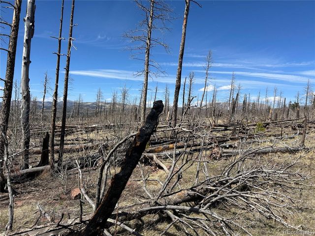 Lot 1039 Forbes Park Ranch, Fort Garland, CO 81133