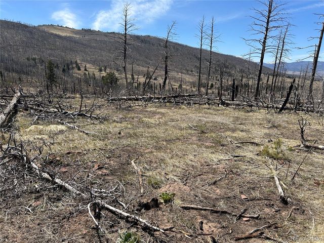 Lot 1039 Forbes Park Ranch, Fort Garland, CO 81133