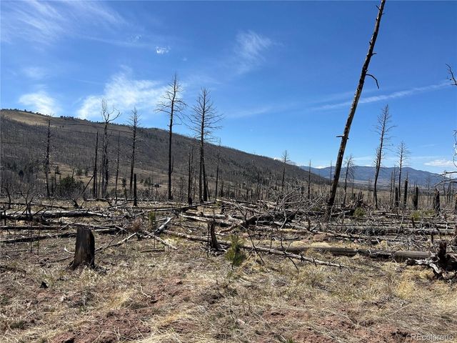 Lot 1039 Forbes Park Ranch, Fort Garland, CO 81133