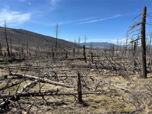 Lot 1039 Forbes Park Ranch, Fort Garland, CO 81133