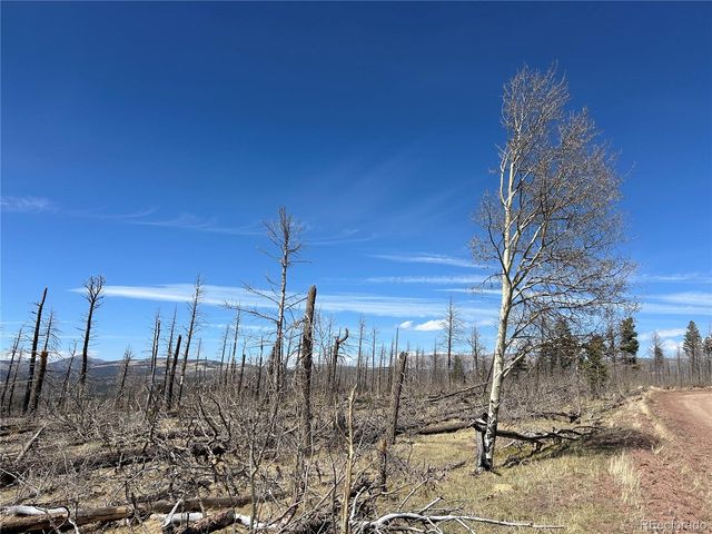 Lot 1039 Forbes Park Ranch, Fort Garland, CO 81133