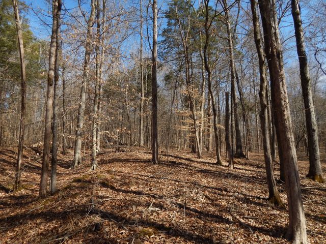 0 Ian Dr, Clifton, TN 38425